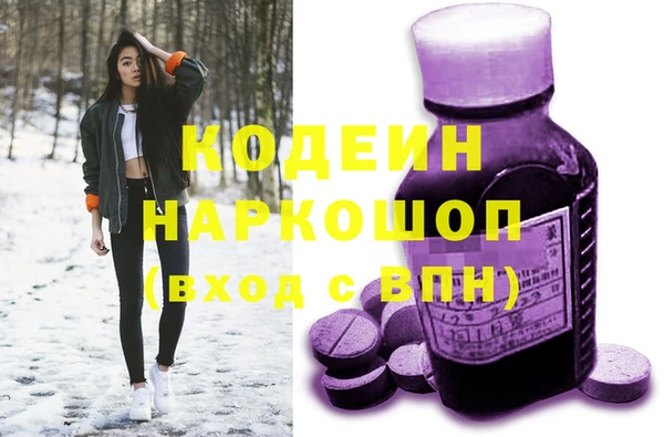 дживик Щигры