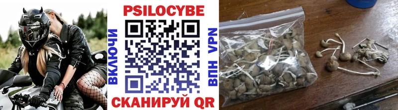 где купить наркоту  MEGA онион  Псилоцибиновые грибы Magic Shrooms  Саки 